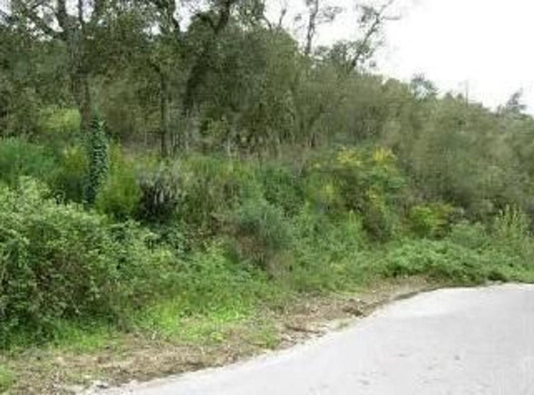 Land for sale in Santa Cristina d'Aro, Girona photo 2