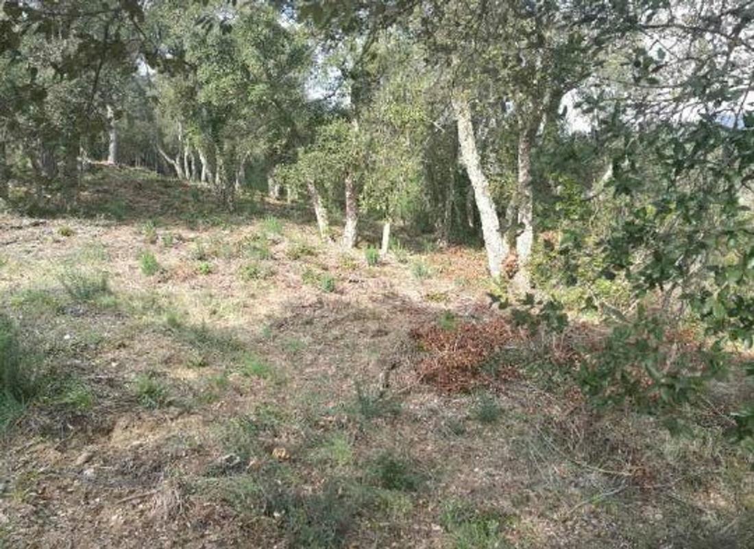 Land for sale in Santa Cristina d'Aro, Girona photo 3