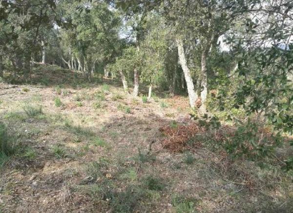 Terreno en Urbanitzacio de Vall Repos, 211, Urbanitzacions del nord, Santa Cristina d'Aro thumbnail 2