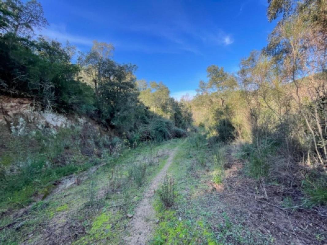 Land for sale in Santa Cristina d'Aro, Girona photo 4