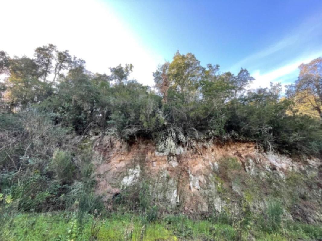 Land for sale in Santa Cristina d'Aro, Girona photo 5