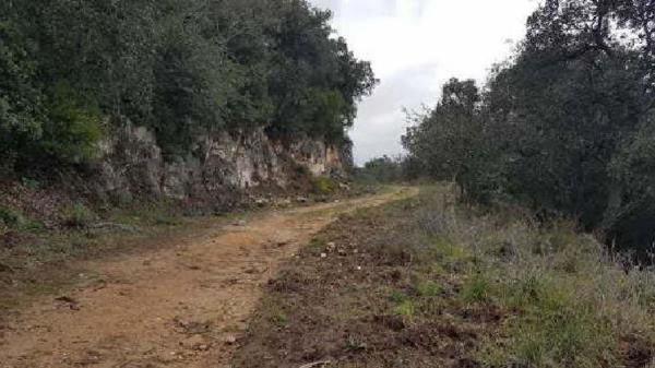 Terreno en Calle Gavarres, 5, Can Semi-Mas Nou-Mas Ros, Castell-Platja d'Aro photo 1