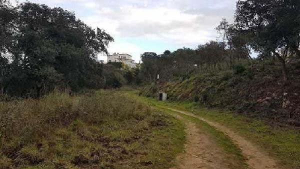 Terreno en Calle Gavarres, 5, Can Semi-Mas Nou-Mas Ros, Castell-Platja d'Aro photo 2