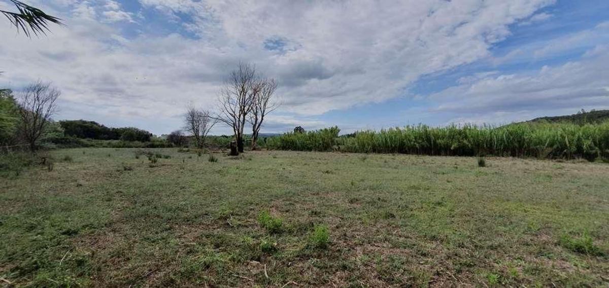 Terreno en venta en Palamós, Girona photo 1