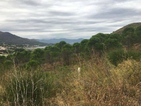 Terreno en Carretera de Cadaqués s/n, El Port de la Selva photo 4