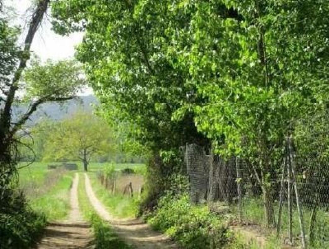 Land for sale in Saint Julia of Llor and Bonmati, Girona photo 1