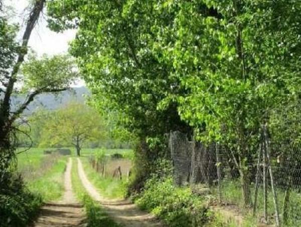 Terreno en Carretera Santa Julia, Sant Juliá del Llor i Bonmati photo 1