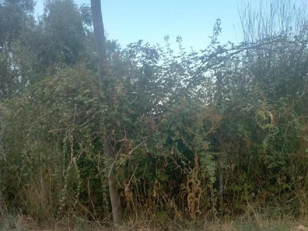 Land for sale in Calonge, Girona photo 3