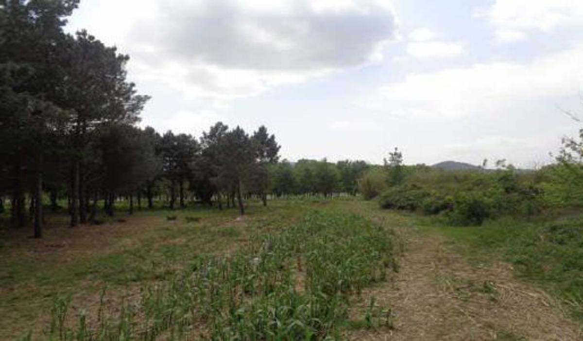 Terreno en venta en Riells i Viabrea, Girona photo 1