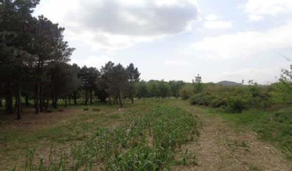Terreno en Calle Joan Maragall, 5, Riells i Viabrea photo 1