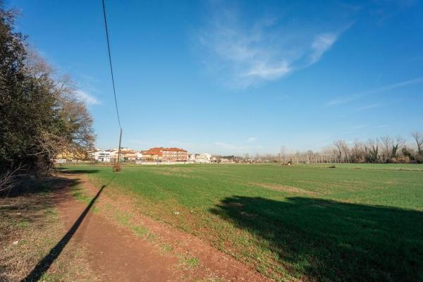 Terreno en Calle Rosa, Maçanet de la Selva poble, Maçanet de la Selva photo 1
