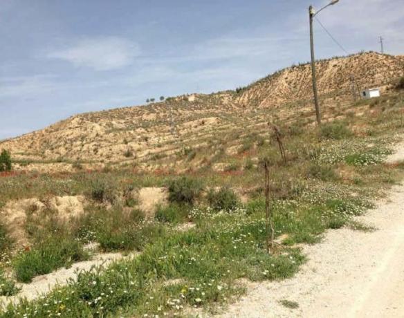 Terreno en Carretera Murcia, Cullar thumbnail 1