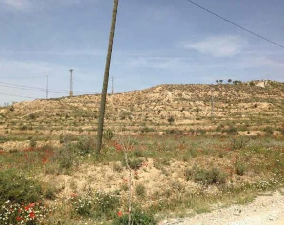 Terreno en Carretera Murcia, Cullar photo 4
