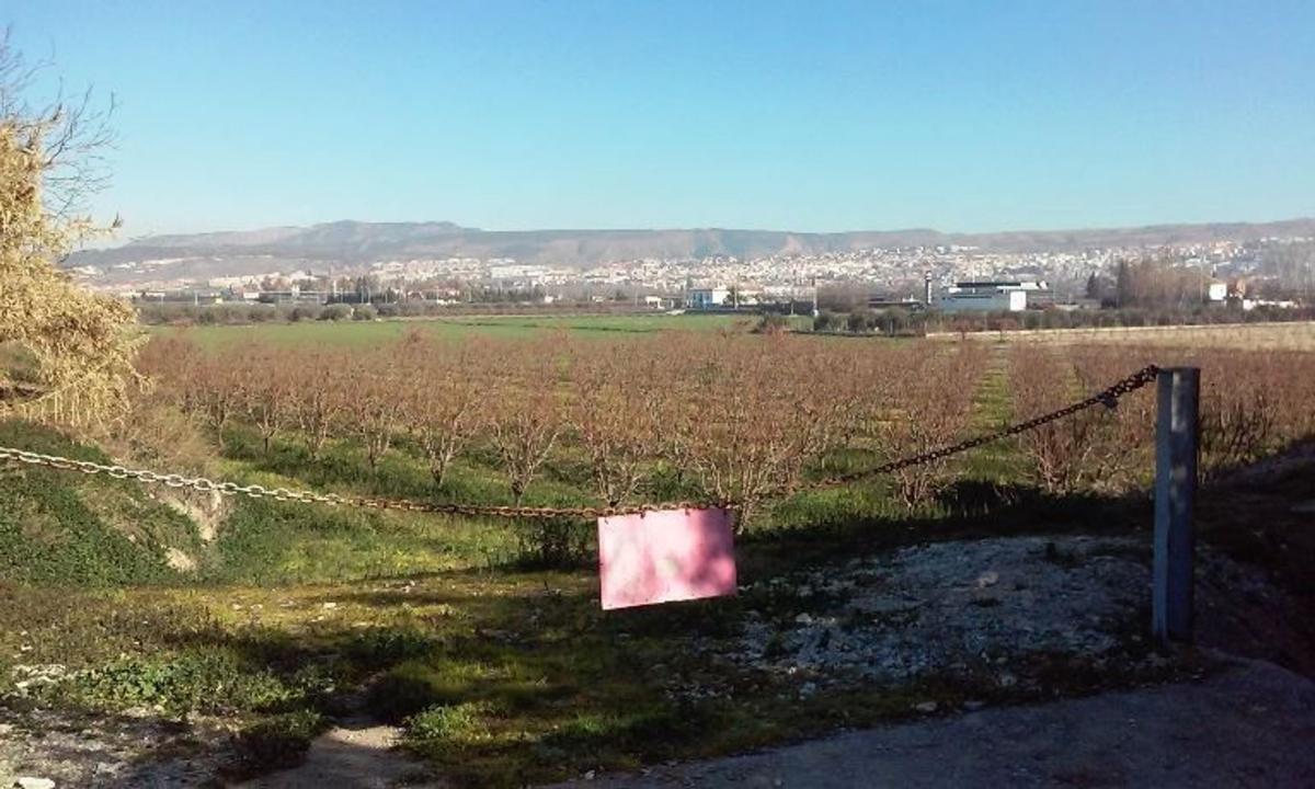 Land for sale in La Zubia, Granada photo 1