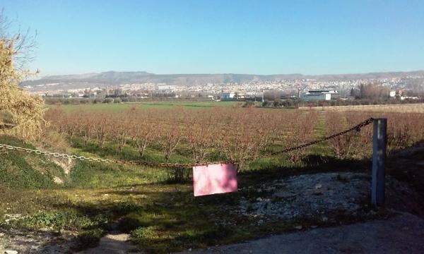 Terreno en Calle Laurel de la Reina, La Zubia, La Zubia photo 1