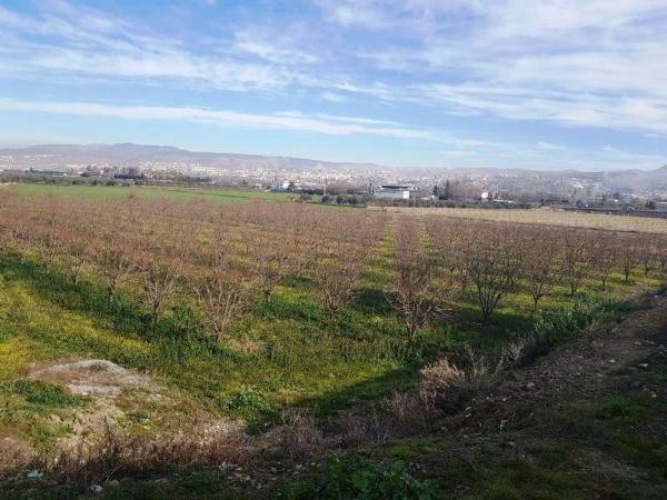 Terreno en Calle Laurel de la Reina, La Zubia, La Zubia photo 4