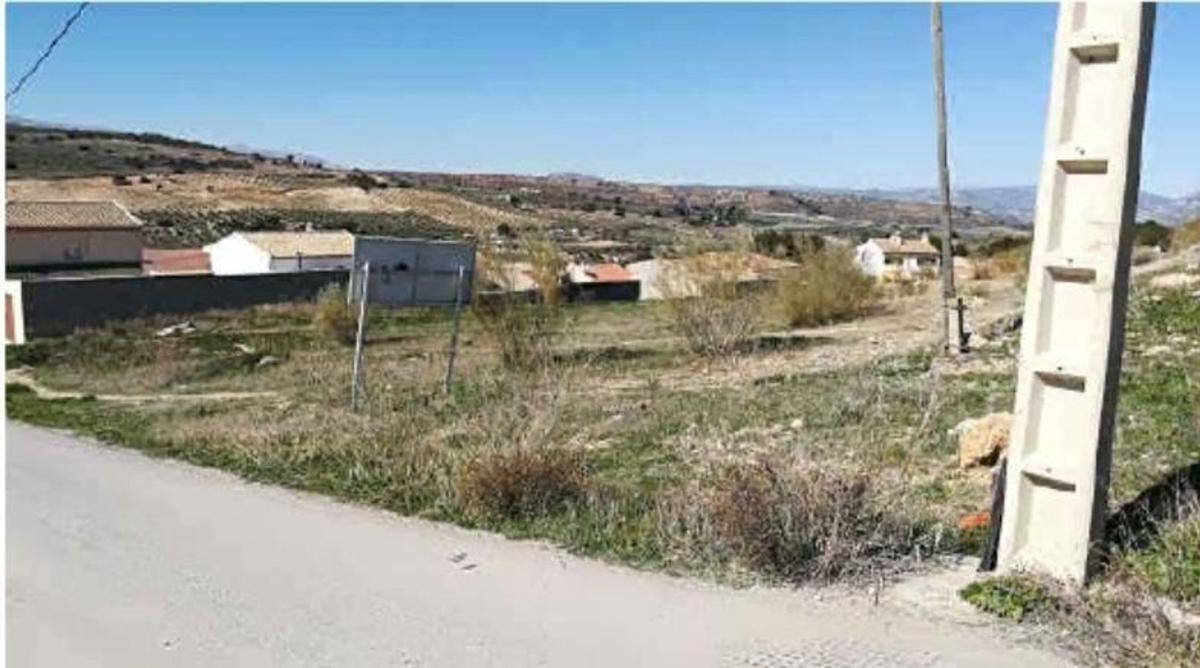 Land for sale in Cacin, Granada photo 1