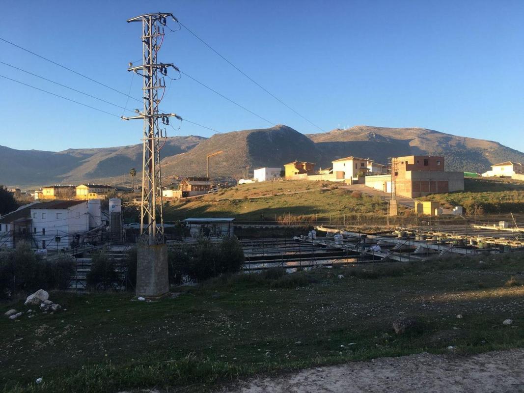 Участок земли на продажу в Лоха, Гранада photo 3
