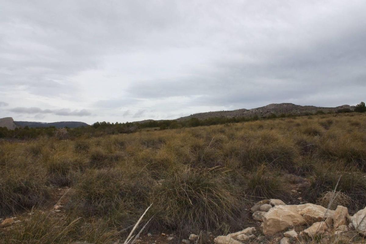 Land for sale in Puebla de Don Fadrique, Granada photo 1