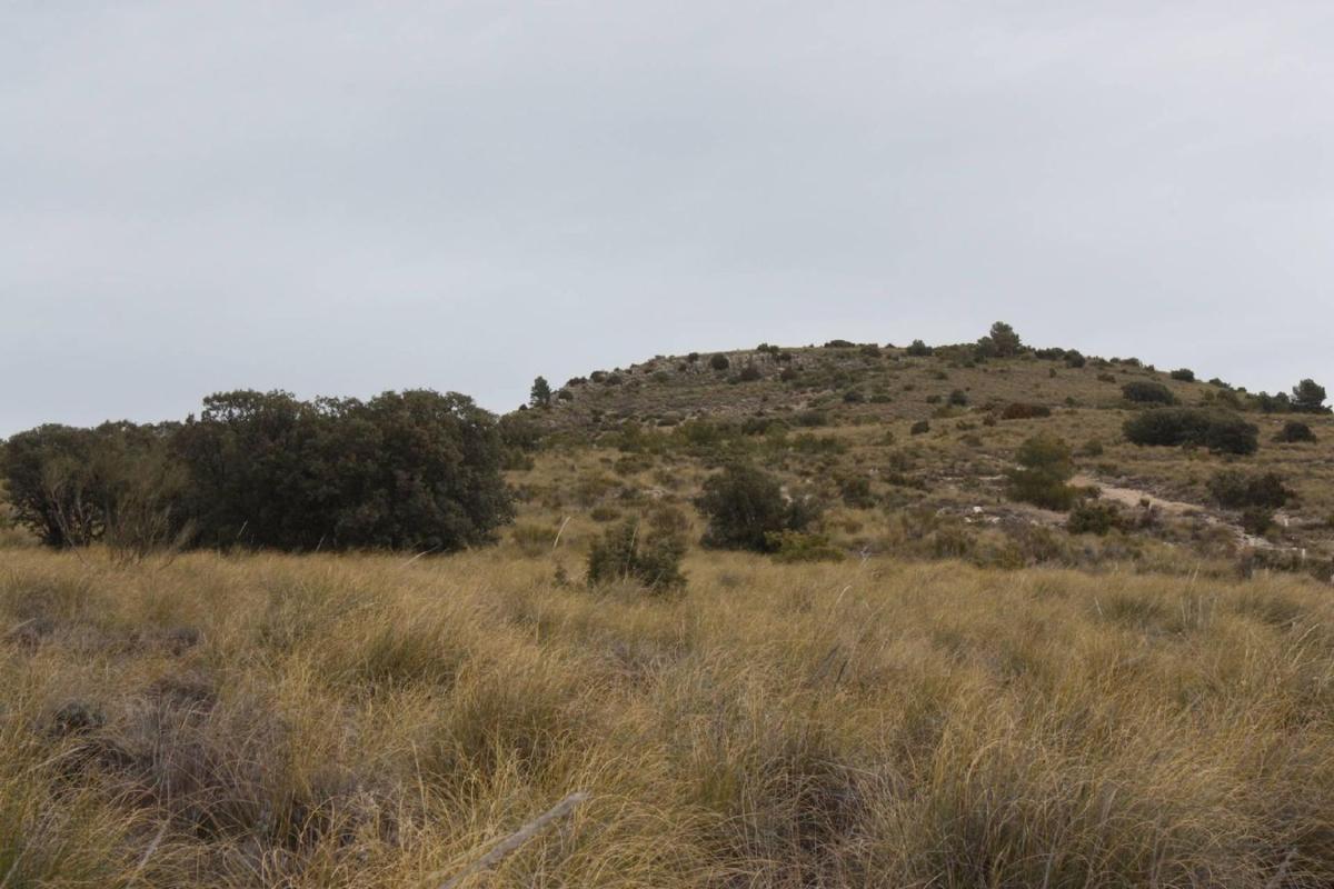Land for sale in Puebla de Don Fadrique, Granada photo 3