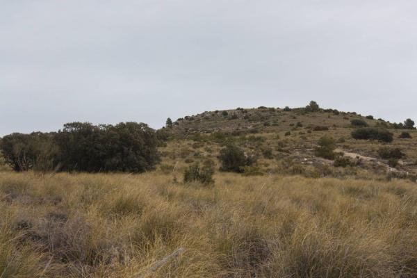 Terreno en Vía, Puebla de Don Fadrique thumbnail 2