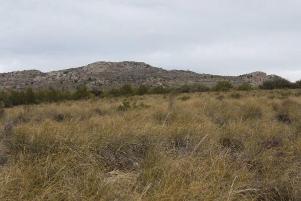 Terreno en Vía, Puebla de Don Fadrique photo 4