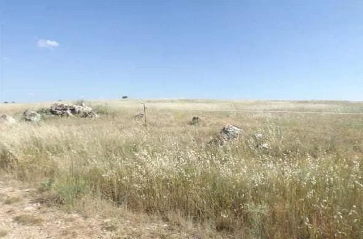 Terreno en venta en Horche, Guadalajara photo 3