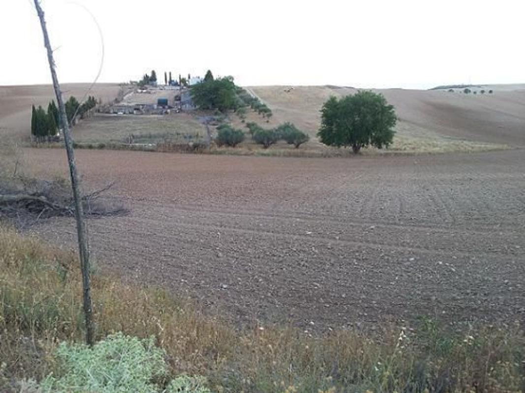Land for sale in Tortola de Henares, Guadalajara photo 5