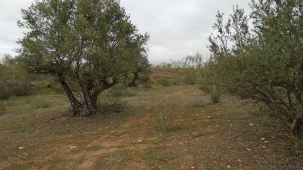 Terreno en Calle Toledo, 13, Quer photo 1