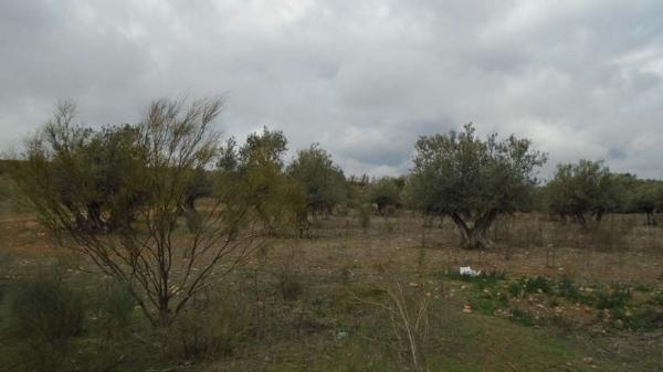 Terreno en Calle Toledo, 13, Quer photo 4