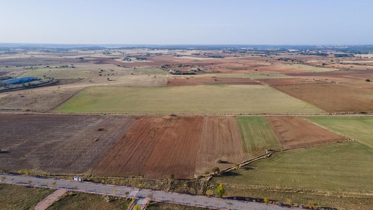 Land for sale in Horche, Guadalajara photo 2