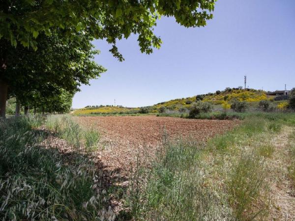 Terreno en Calle de las Arcas, Cabanillas del Campo photo 2