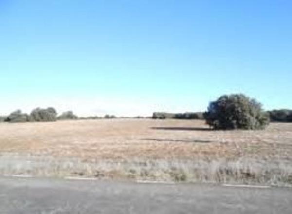 Terreno en Carretera de Alcalá s/n, Aranzueque thumbnail 1