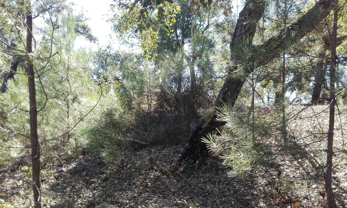 Land for sale in Valdelarco, Huelva photo 2