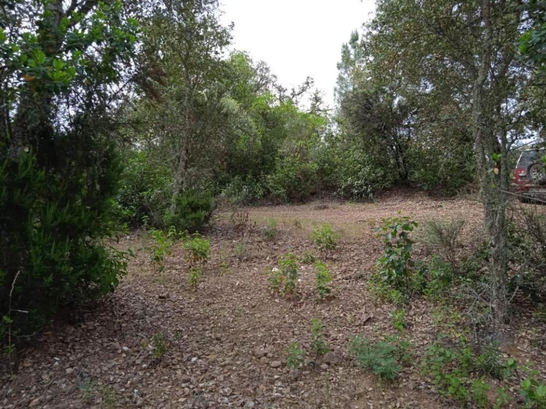 Land for sale in Valdelarco, Huelva photo 4