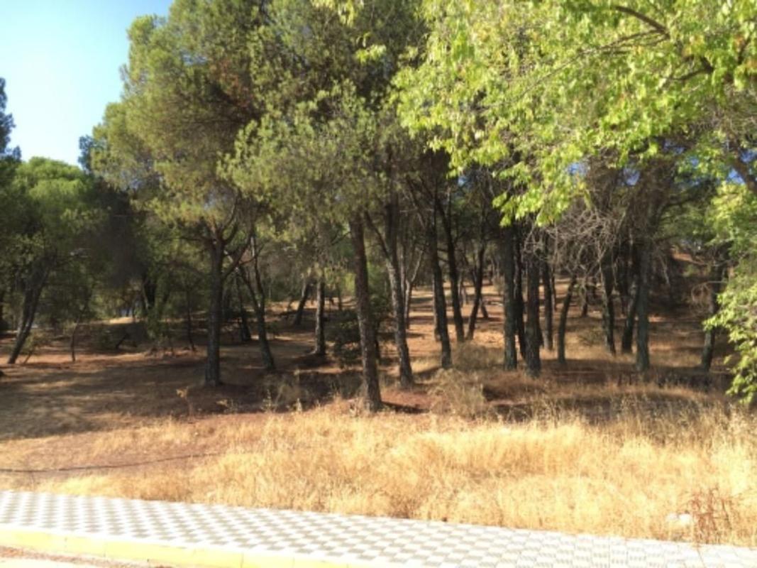 Terreno en venta en Minas de Riotinto, Huelva photo 1
