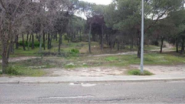 Terreno en Avenida Juan Ramón Jiménez s/n, Minas de Riotinto thumbnail 2