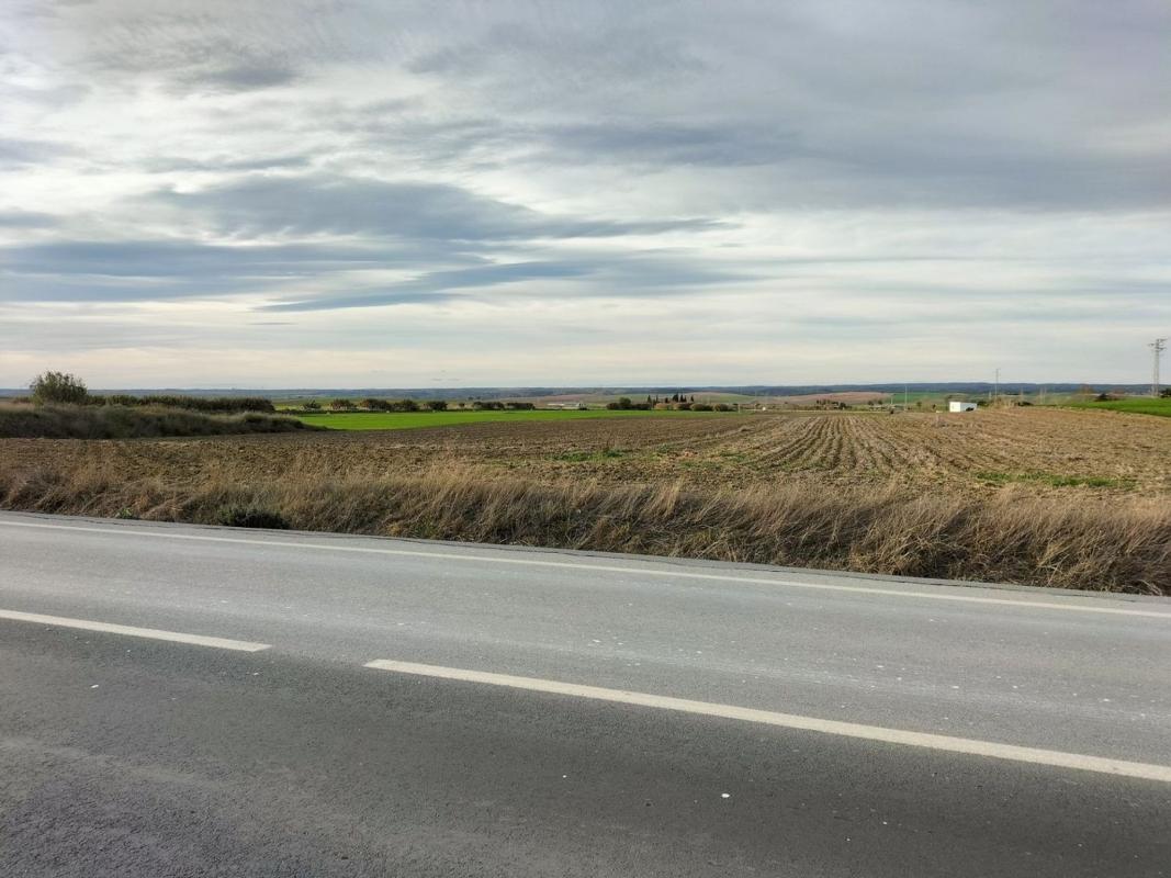 Działka na sprzedaż w La Palma del Condado, Huelva photo 4