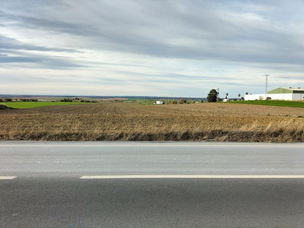 Działka na sprzedaż w La Palma del Condado, Huelva photo 5