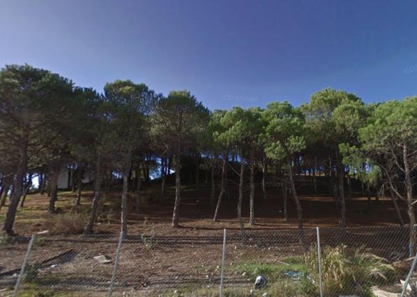 Terreno en Pozo Alicia, 2, Minas de Riotinto photo 1