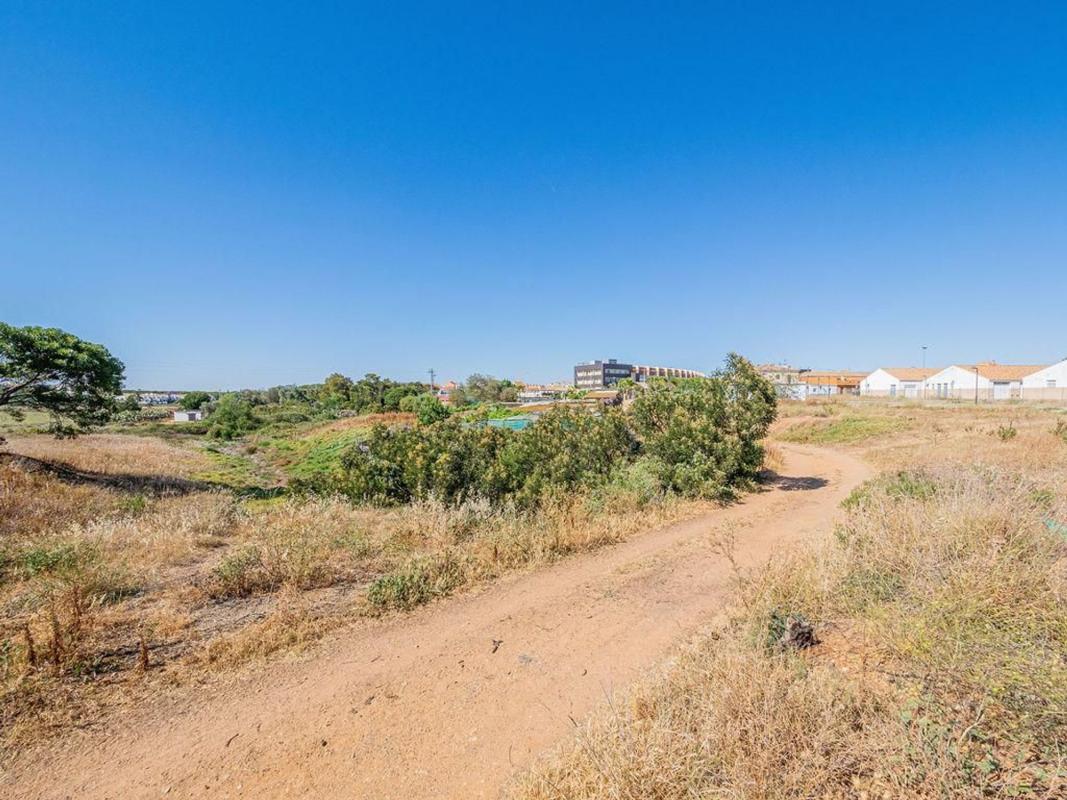 Land for sale in Corrales, Huelva photo 5
