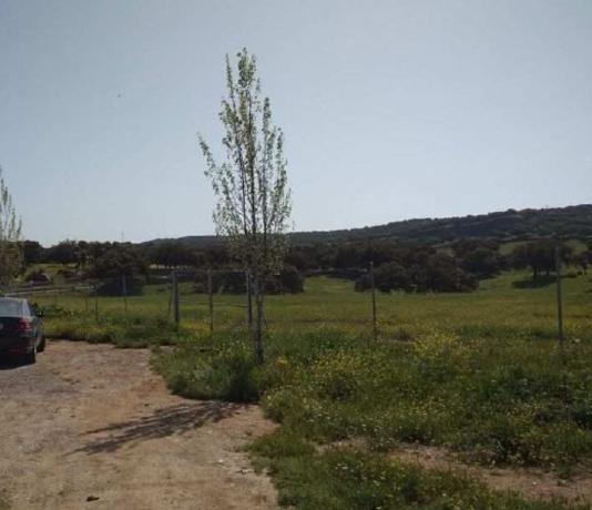 Terreno en Plaza Constitucion, Santa Olalla del Cala thumbnail 1