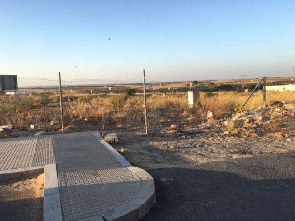 Terreno en Calle Pp Sr10 Calle C, Trigueros photo 1