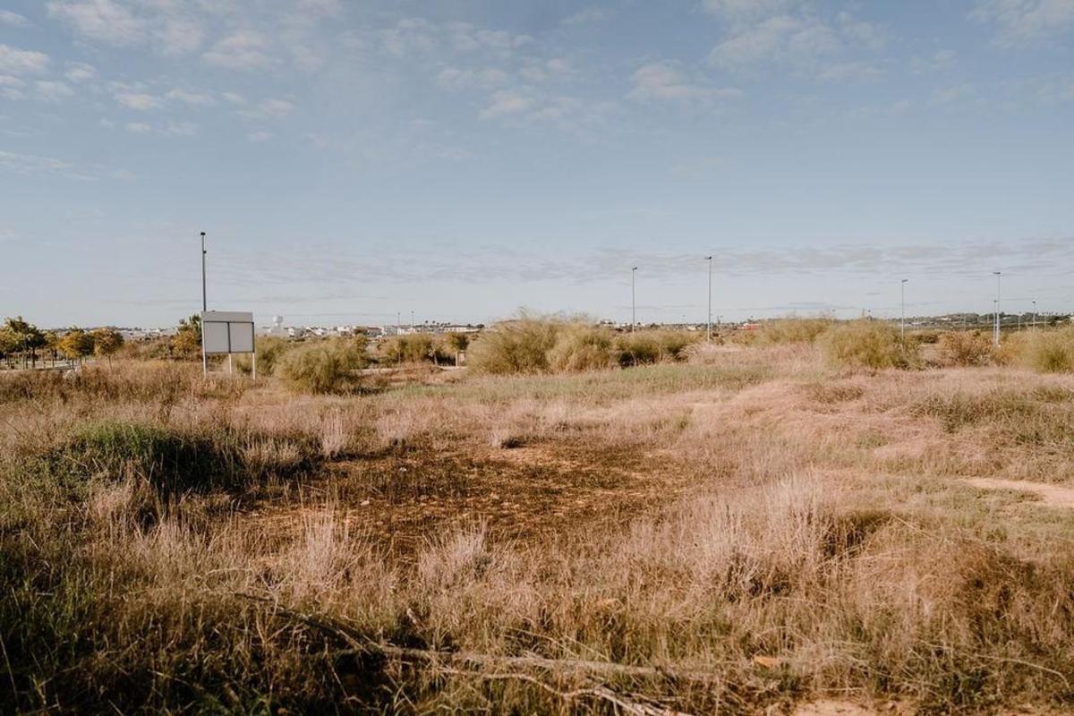 Land for sale in Lepe, Huelva photo 4
