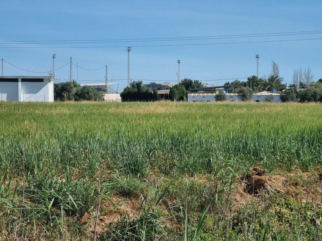 Terreno en venta en San Juan del Puerto, Huelva photo 5