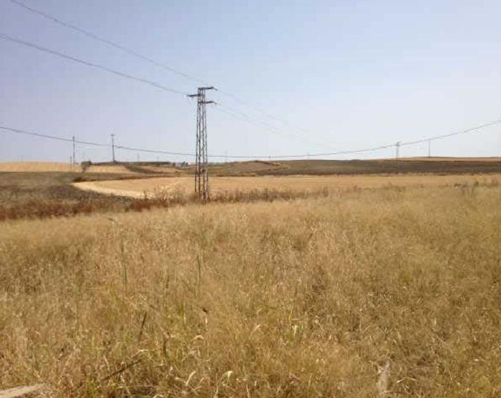 Terreno en venta en La Palma del Condado, Huelva photo 5