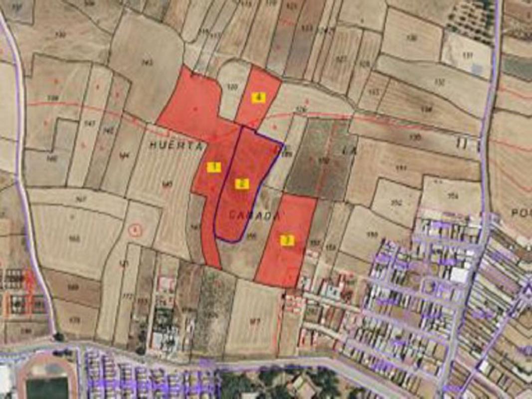 Land for sale in Almonte, Huelva photo 1