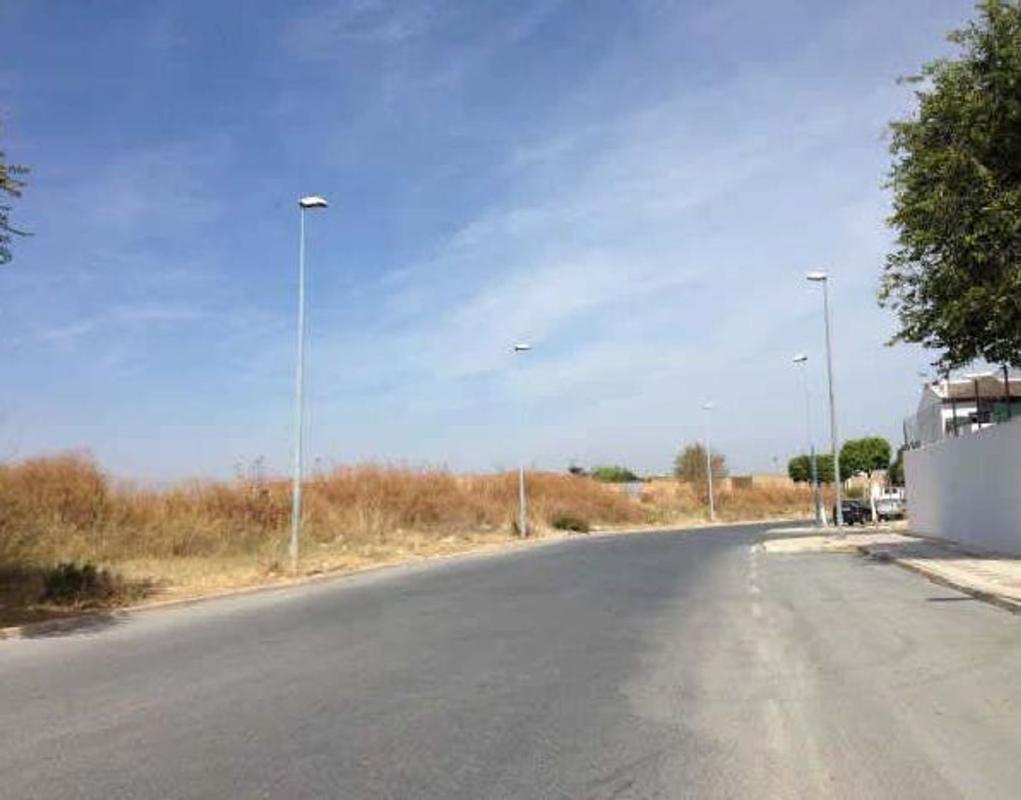 Land for sale in Almonte, Huelva photo 2