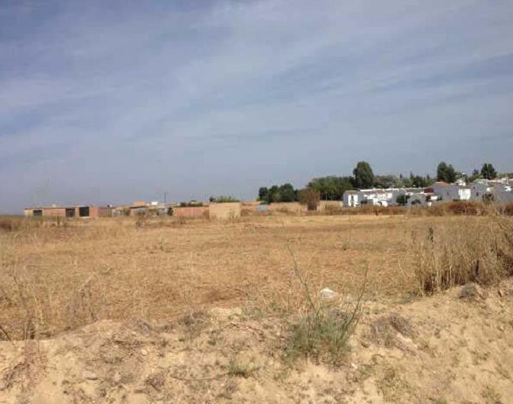 Land for sale in Almonte, Huelva photo 3