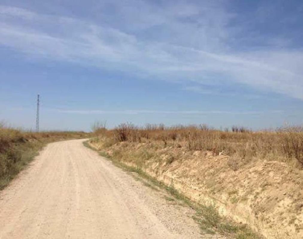 Land for sale in Almonte, Huelva photo 4